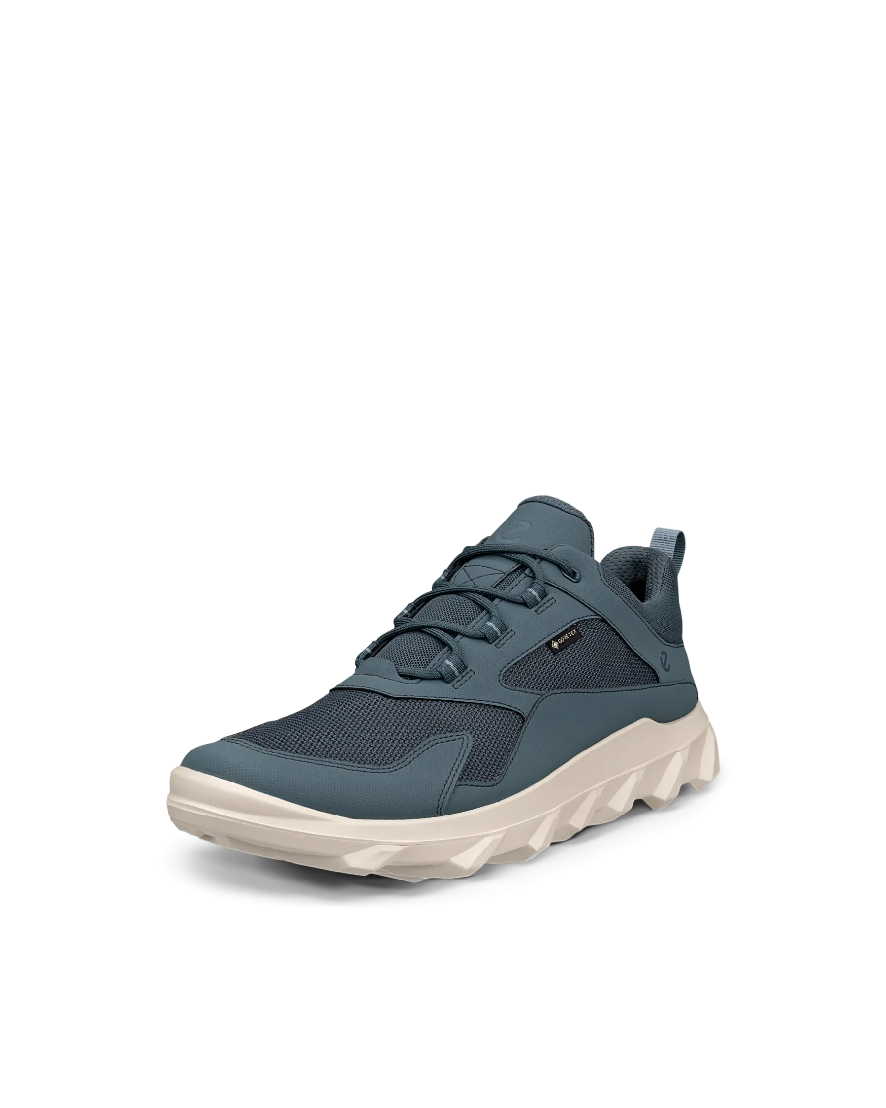 ECCO Gore-Tex|Ulkoilu* MX M Sininen