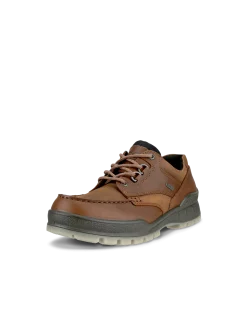 ECCO Gore-Tex|Casual* TRACK 25 M Ruskea