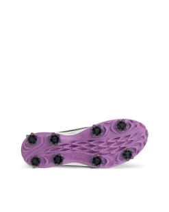 ECCO Golf* W GOLF BIOM TOUR Harmaa